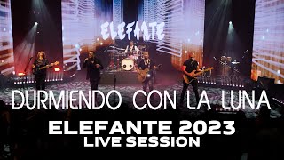 Durmiendo con la Luna ELEFANTE 2023 Live Session [upl. by Nawd]