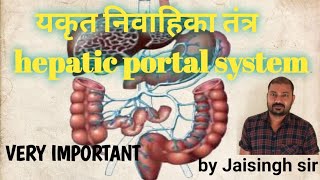 Hepatic portal system यकृत निवाहका तंत्र  Hindi  by Jaisingh sir  NEET [upl. by Llorre]