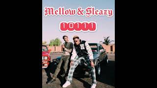 Mellow amp Sleazy  10111 Official Audio Ft Mr JazziQ amp MJ [upl. by Lawton]