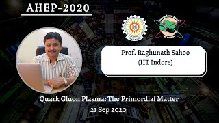 Lecture by Professor Raghunath Sahoo IIT Indore [upl. by Care342]