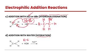 Electrophilic Addition Reactions of Hydrocarbons  Organic Chemistry [upl. by Almira]