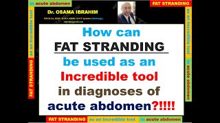 How can FAT STRANDING be used as an incredible tool in diagnosis of acute abdomen [upl. by Ardnwahs663]