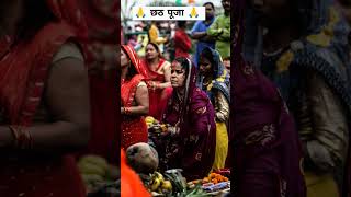 Jode jode falwa by palak muchhal crazypanna shortvideo shorts short chhath chhathpuja 2024 [upl. by Parrott]