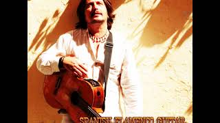 SPANISH FLAMENCO GUITAR  Valentino Vallente  Full Album 2015 [upl. by Anerak488]