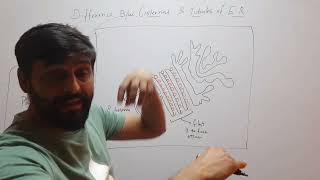 Difference bw Cisternae amp Tubules of ER [upl. by Case]