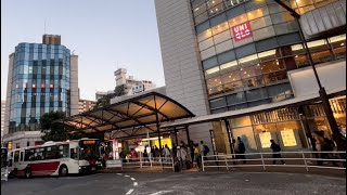 荻窪駅周辺 ぶら散歩  荻窪駅北口・天沼弁天地公園・日大二高通り等 [upl. by Otrebtuc]