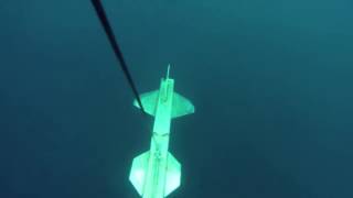 Shark Attacks Drone Underwater [upl. by Trojan487]