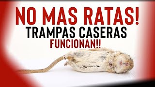 Dos TRAMPAS caseras para Ratas y Ratones ¡ACABA CON ELLAS [upl. by Ellehcer]