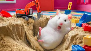 😱 Hamster’s Fun Escape from the Ball Pit  Cute Pets Maze Challenge [upl. by Odyssey]