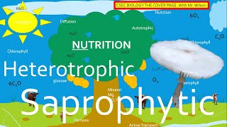 Autotrophic Heterotrophic and Saprophytic Nutrition  CSEC BIOLOGY TCP [upl. by Mather]