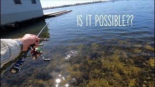 Can I Catch Every Fish in Perth Australia 21 Species Episode 1 [upl. by Adabel]