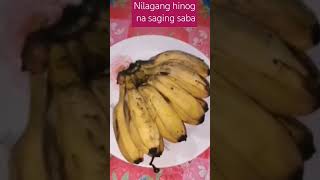 saging na saba [upl. by Summons738]