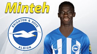 Yankuba Minteh ● Welcome to Brighton 🔵🇬🇲 Best Skills Goals amp Assists [upl. by Kolnos291]