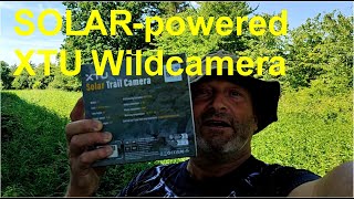 2024 06 15 Wildcamera [upl. by Andy]