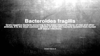 Medical vocabulary What does Bacteroides fragilis mean [upl. by Willtrude]