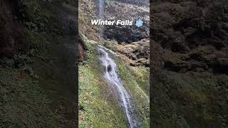 Winter Falls ❄️ Oregon waterfall [upl. by Rehpotsrik]