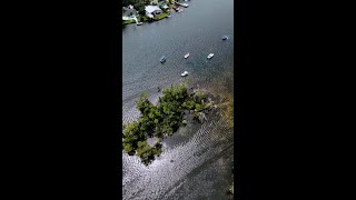 Explore all kinds of incredible wildlife right here at Plantation Resort on Crystal River [upl. by Kimber]