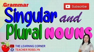 Singular and Plural Nouns Examples Pictures and Words [upl. by Fredella]