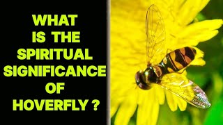 WHAT IS THE SPIRITUAL SIGNIFICANCE OF HOVERFLY INSECT [upl. by Seymour794]