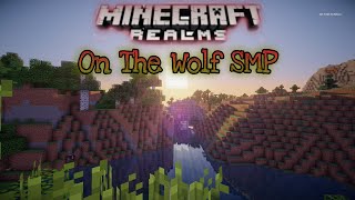 Minecraft Stream On The Wolf SMP [upl. by Akit854]