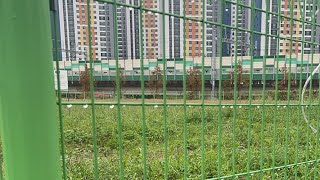 Ajumma in korea is live Rainy afternoon 🇰🇷autumn [upl. by Beard]