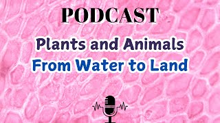 Plants and Animals From Water to Land [upl. by Sheri944]