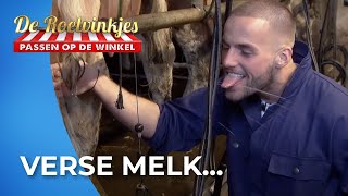 Dave en Donny PROEVEN aan het BOERENLEVEN 🐮 🐷  De Roelvinkjes AFL10 [upl. by Pinto]