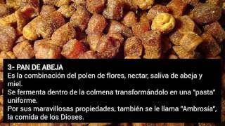 Productos que nos dan las Abejas [upl. by Polard158]