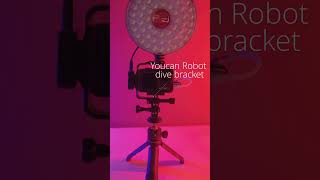 Osmo Action 5 pro and Rotolight neo 3 pro miniish vlog setup [upl. by Ataner]