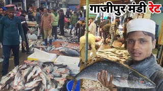 Gazipur Fish Mandi Rate Today 2024  Gazipur Fish Market Delhi  Fish video [upl. by Swithin]