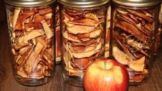 Dehydrated Apple Chips Better Than Store Bought [upl. by Lativa]