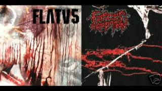 Faeces Eruption  16 Tracks [upl. by Okubo535]