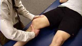 Knee Exam Lachman Test [upl. by Solakcin836]