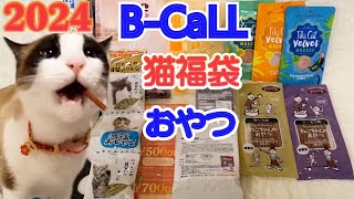 猫ブリーダー沢辺さんのBCaLL福袋おやつ食べてみた！ Cat lucky bag [upl. by Aikas]