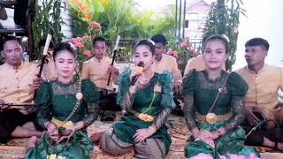 ដំរីលេងភ្លុកច្រៀងដោយហង្សដាលីន [upl. by Atekihc]