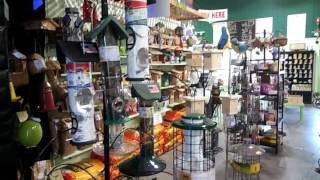 Garden Center Gift Shop Walk Through [upl. by Theodore415]