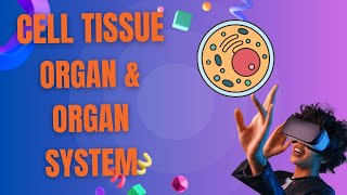 CELL  TISSUE ORGAN  ORGAN SYSTEM science study education [upl. by Sorac924]