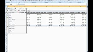 How to Group and Aggregate fields in a Pivot Table OLAP [upl. by Fiden]