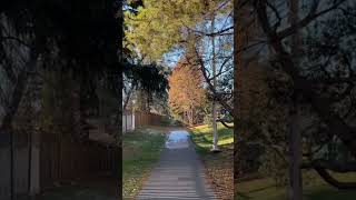 185 around 182 street amp 82 avenue this is the beautiful neighbourhood of Aldergrove short clip 3 [upl. by Iorgo]