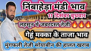 निंबाहेड़ा मंडी भाव  Nimbahera Mandi Bhav today  लहसून मूंगफली गेहूं मक्का सोयाबीन के भाव Mandi [upl. by Ltsyrk256]