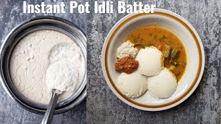 Instant Pot Idli Batter for Soft Idli  How to make Soft Idli Andhra Style [upl. by Toshiko761]