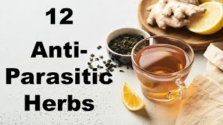 12 Powerful AntiParasitic Herbs for Gut Health [upl. by Manson]