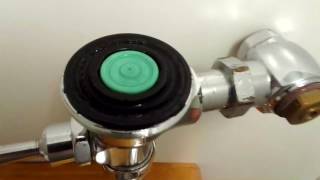 How to fix a Sloan flush valve [upl. by Emrich]