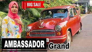 Modified AMBASSADOR For SaleHindustan Ambassador For Low budgetUsed car sale [upl. by Anailuy]