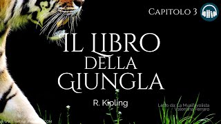 IL LIBRO DELLA GIUNGLA Capitolo 3 • RKipling 🎧 Audiolibro 📖 [upl. by Silvie]