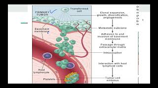 Molecular mechanism of Metastasis [upl. by Ardnahcal]