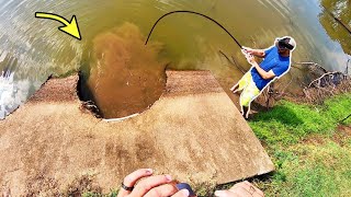 300 LB MONSTER in a STORM DRAIN [upl. by Claudy]