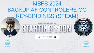 MSFS 2024  BACKUP AF CONTROLERE OG KEYBINDINGS STEAM [upl. by Arimahs]