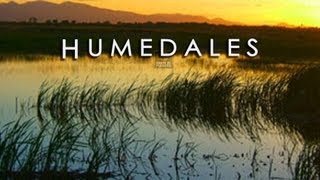 LOS HUMEDALES ECOSISTEMAS VITALES PARA EL PLANETA RAMSAR [upl. by Schmitt]