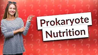 Are prokaryotes autotrophs [upl. by Rubetta]